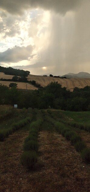 Miscellaneous - Poggio delle favole farm holidays (Cagli)