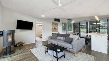 TV, fireplace