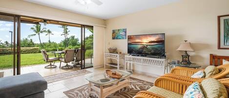 Smart TV, DVD player, books, video library