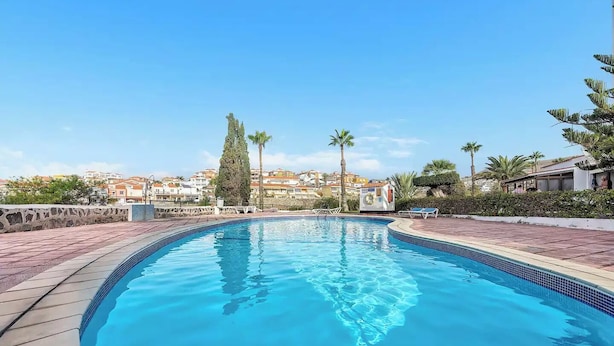 A swimming pool with tiled edges, surrounded by a stone wall and palm trees.