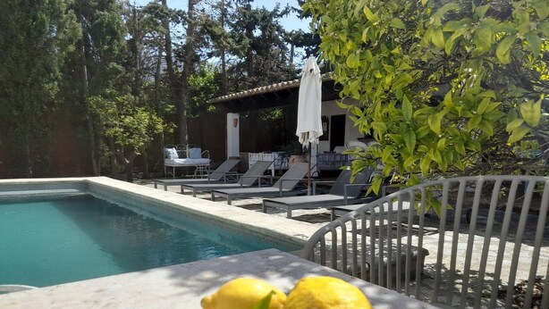 A swimming pool with lounge chairs and a lemon on a table.