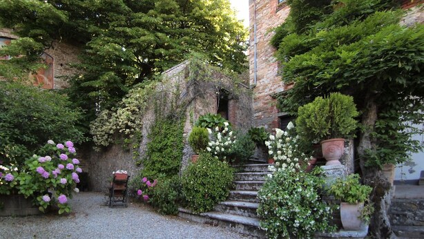 A courtyard with a stone staircase, surrounded by lush greenery and flowering plants. - Castello di Montalto - San Martino (Castelnuovo Berardenga)