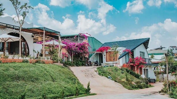 Zona residencial con un camino pavimentado que conduce a casas con balcones, rodeada de vegetación y plantas en flor.