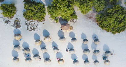 Luxury Condo facing the Ocean