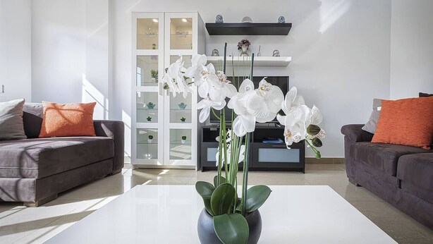 En moderne stue med to sofaer, et sofabord med en orkidé i potte, og et glashus med dekorative genstande.
