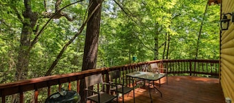 Tatra Nest - Powder Horn - Views! Pets ok! Hikers