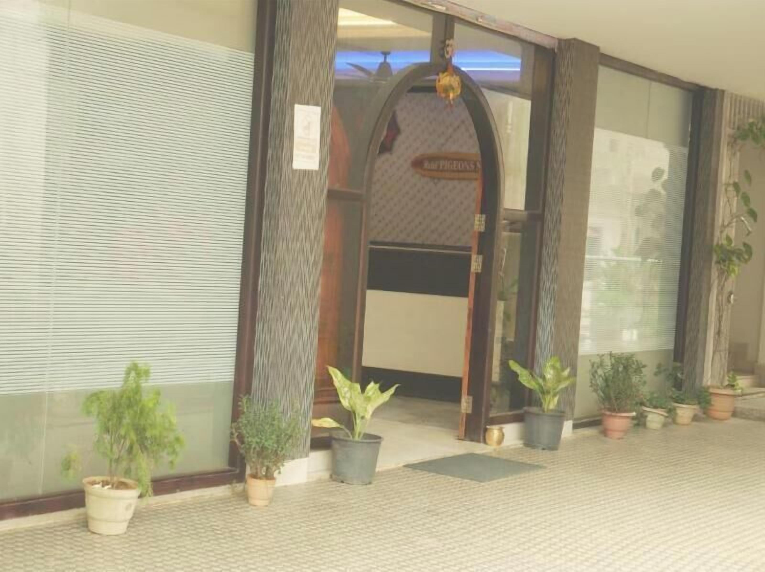 Entrada de un hotel con un letrero que dice "Hotel Pigeon". Hay plantas en macetas afuera de la entrada.