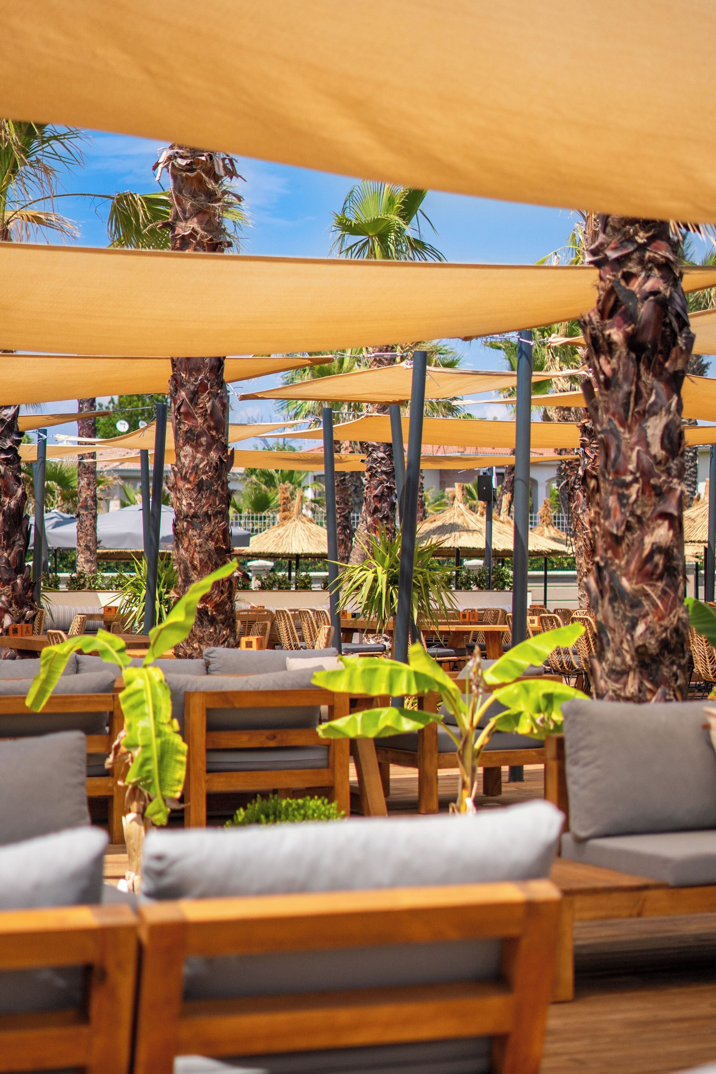 私家海滩、免费海滩班车、免费海滩小屋、沙滩椅