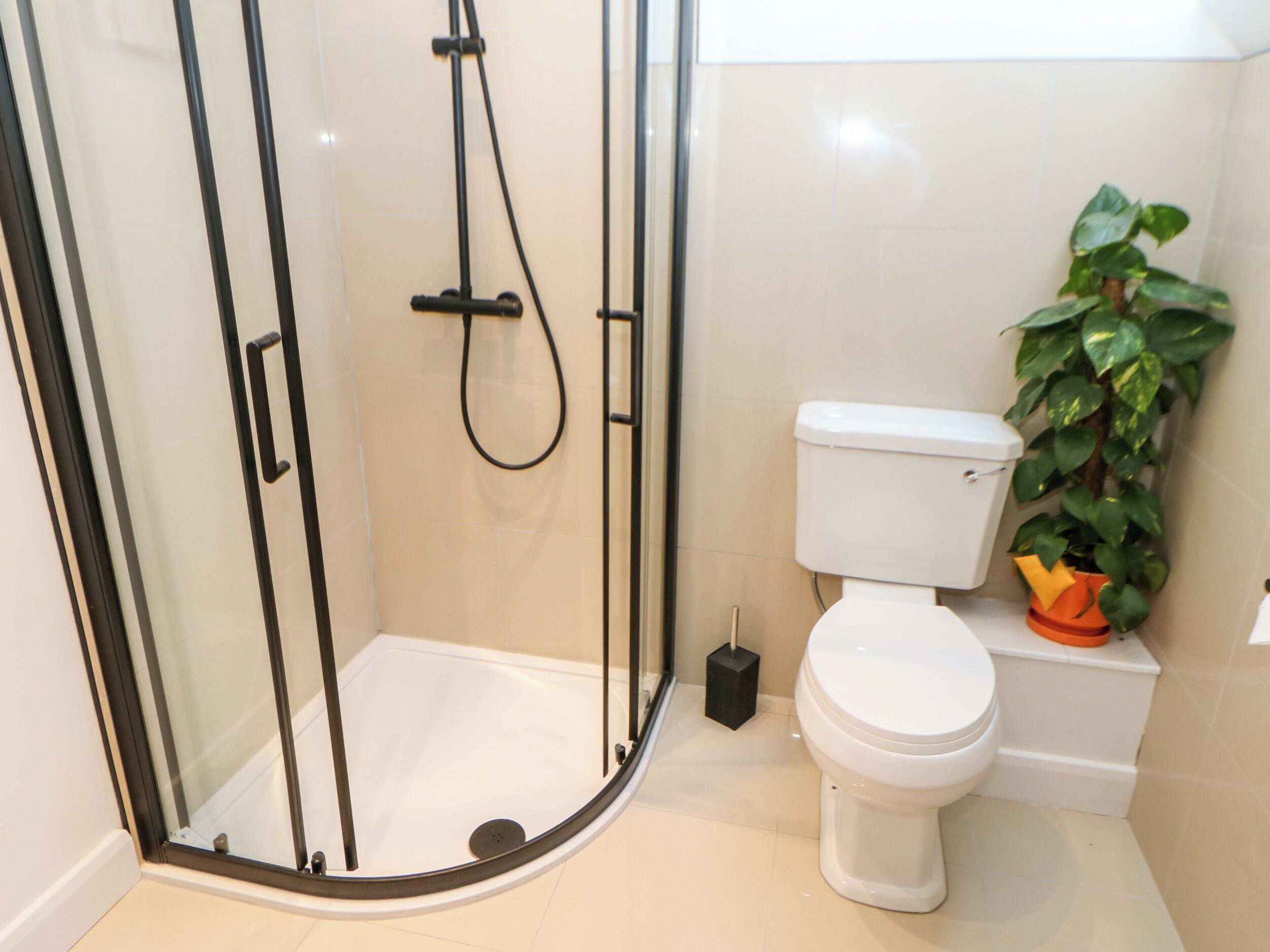 A bathroom with a glass-enclosed shower, a white toilet, and a potted plant.