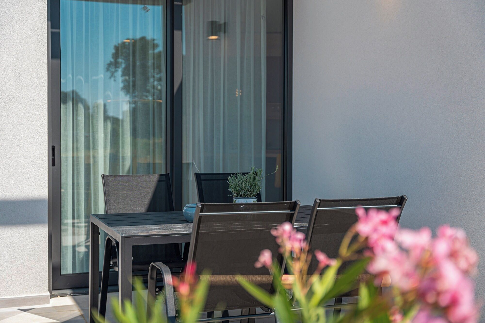 Een modern buitenzitgedeelte met een tafel en stoelen, een plant in pot en uitzicht door een glazen deur.