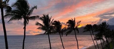 Appartement, 1 slaapkamer | Strand | Accommodatie ligt op het strand