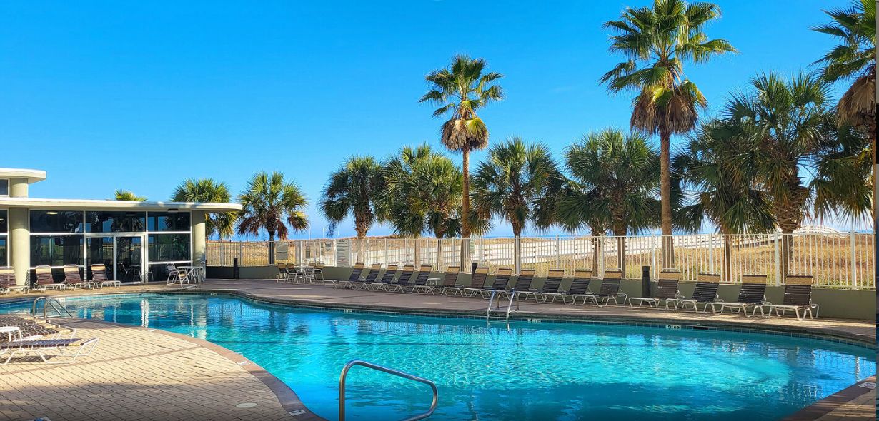 A swimming pool with lounge chairs and palm trees.