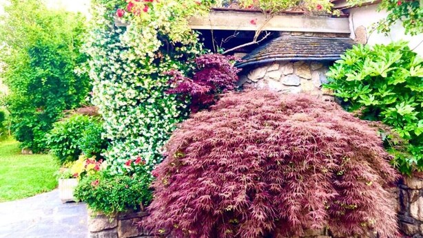 A stone wall with a cascading red shrub and a variety of flowering plants. - Cozy modern studio apartment – perfect for couples (Pieve A Nievole)