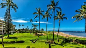 A resort with a well-maintained lawn, palm trees, and a beach view. - Menehune Shores #423 2 Bedroom Condo by RedAwning (Kihei)