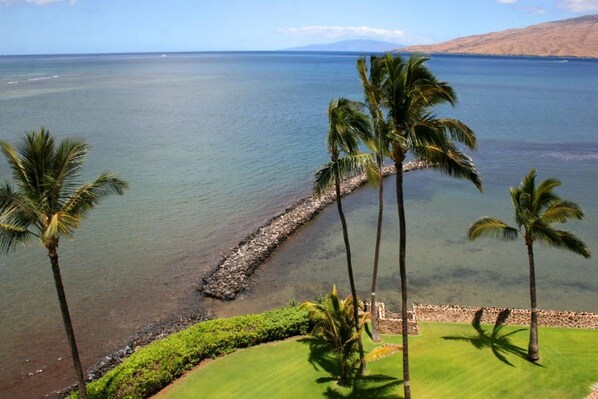 Condo, 2 Bedrooms | Beach | On the beach - Menehune Shores #423 2 Bedroom Condo by RedAwning (Kihei)