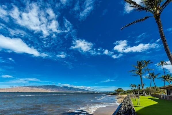 Condo, 2 Bedrooms | Beach | On the beach