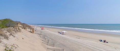 On the beach