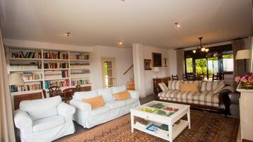 Smart TV y chimenea