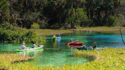 Dunnellon Pool House on Tiger Lake  Near Rainbow River State Park & Tubing