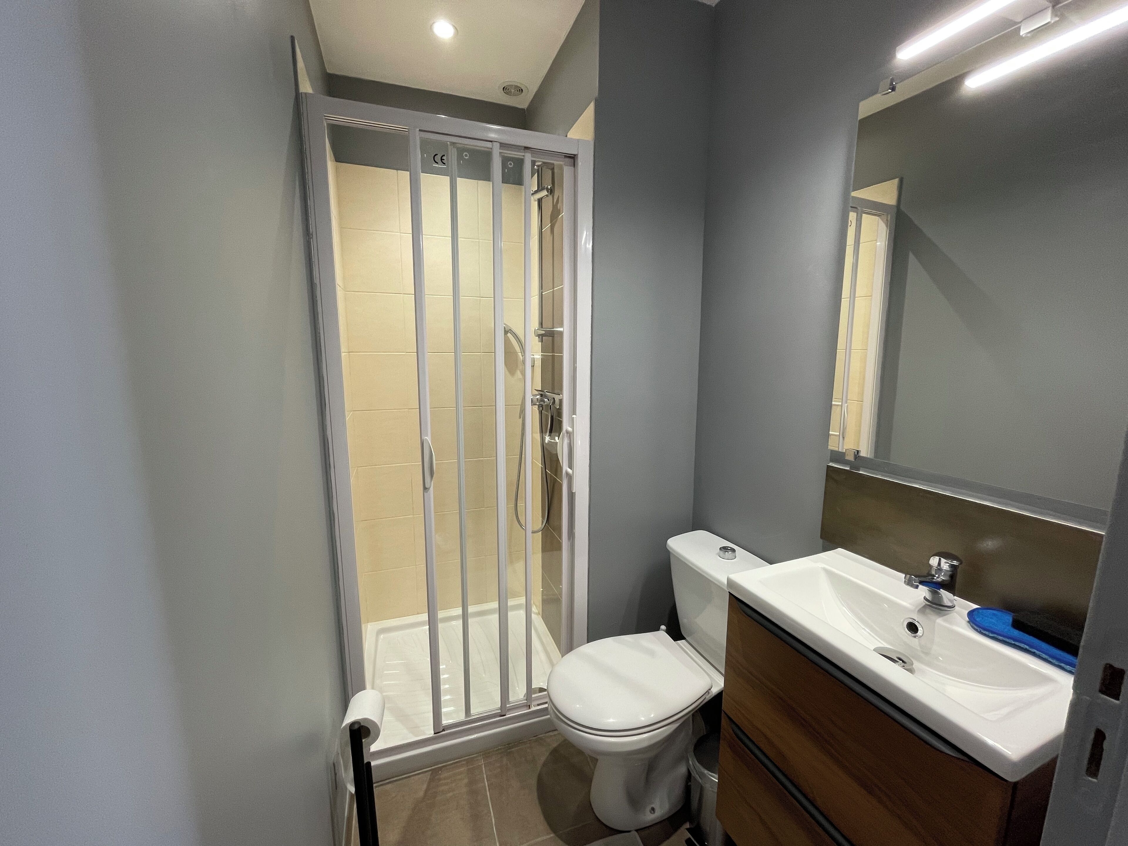 Een badkamer met douchecabine, toilet, wastafel en spiegel.