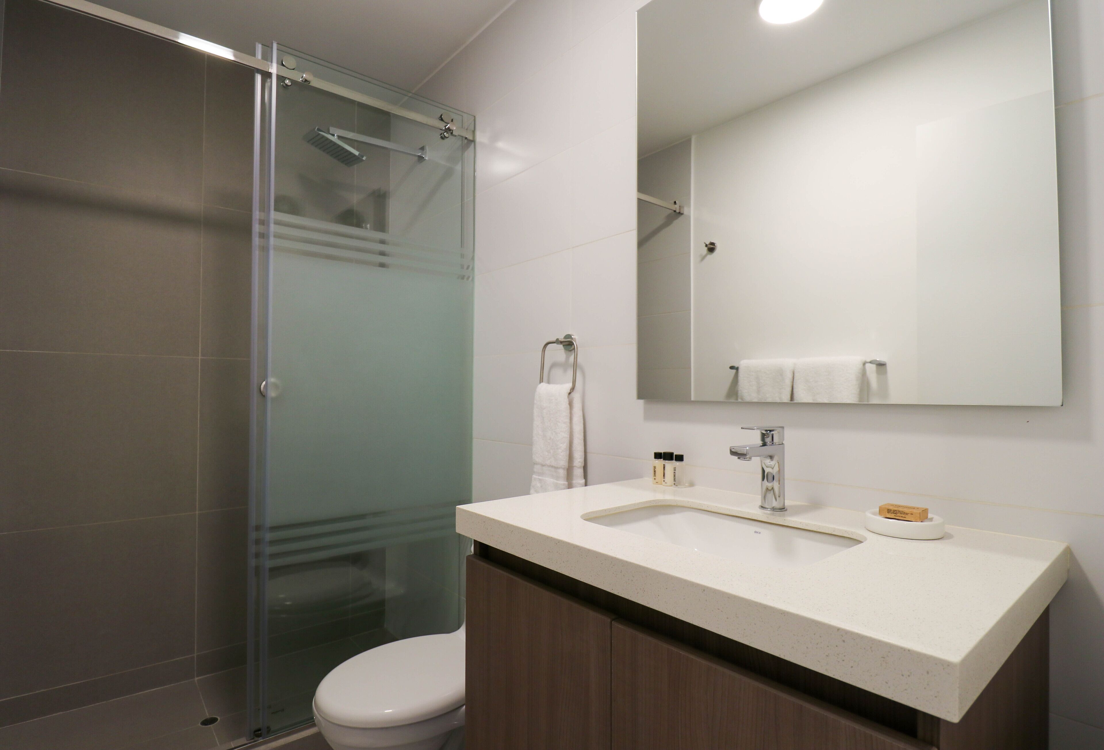 A modern bathroom with a glass shower enclosure, a white toilet, a sink with a mirror above it, and a towel rack.