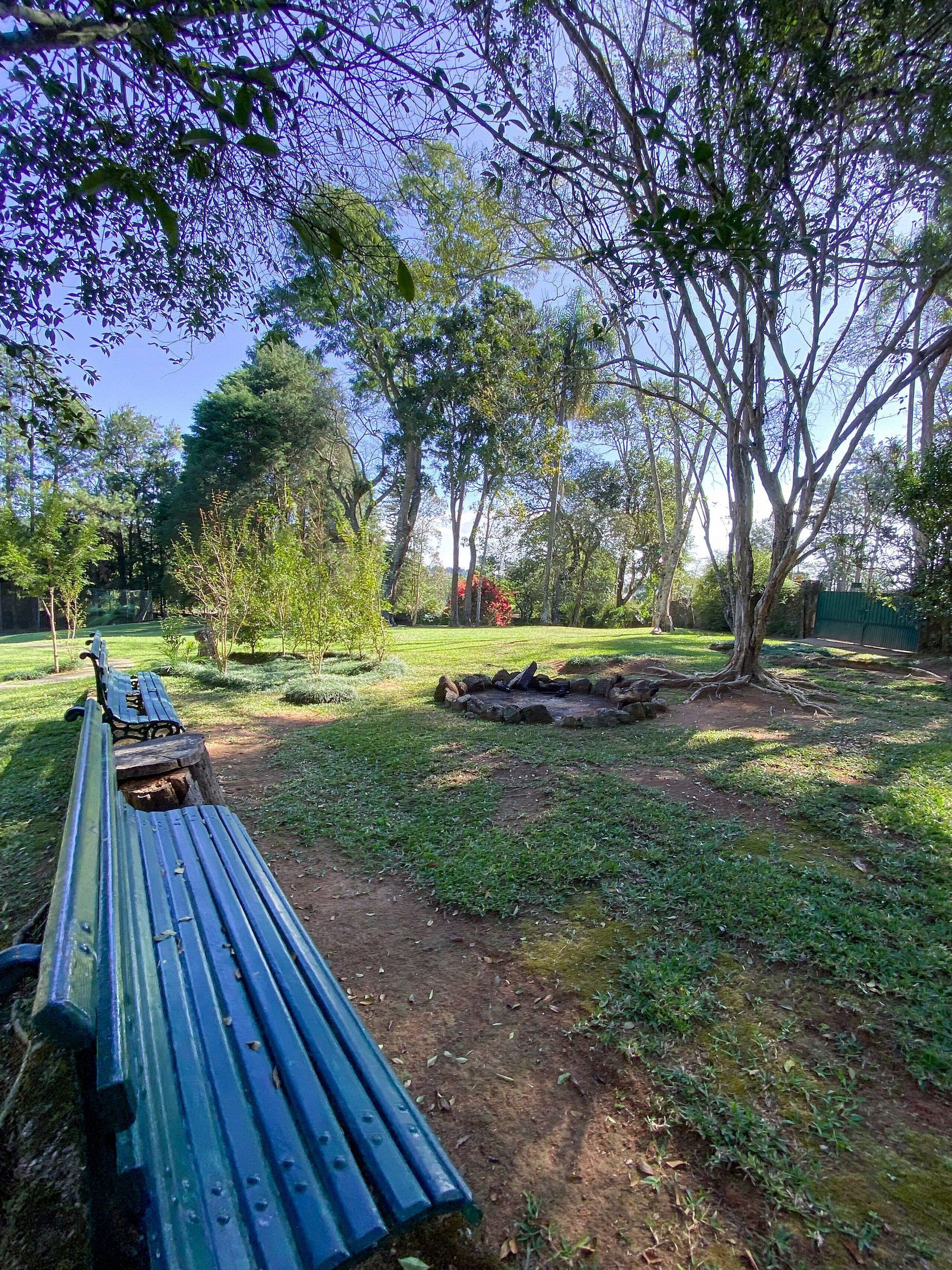 Un parc avec un banc en bois, un foyer et des arbres.