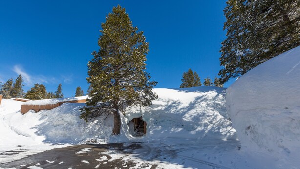 A snow-covered landscape with a road leading through a tunnel, surrounded by snow-covered trees and a clear blue sky. - Ascend Remodeled Condo, SummerFun, Bear&Alpine Lake, across musical festival (Bear Valley)