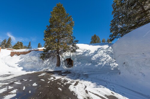 Ascend Remodeled Condo, SNOW FUN, Ski In Condo at Bear Valley Mountain Resort