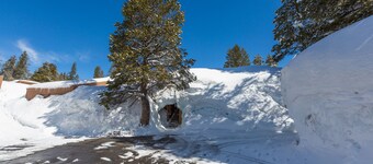 Ascend Remodeled Condo, SNOW FUN, Ski In Condo at Bear Valley Mountain Resort