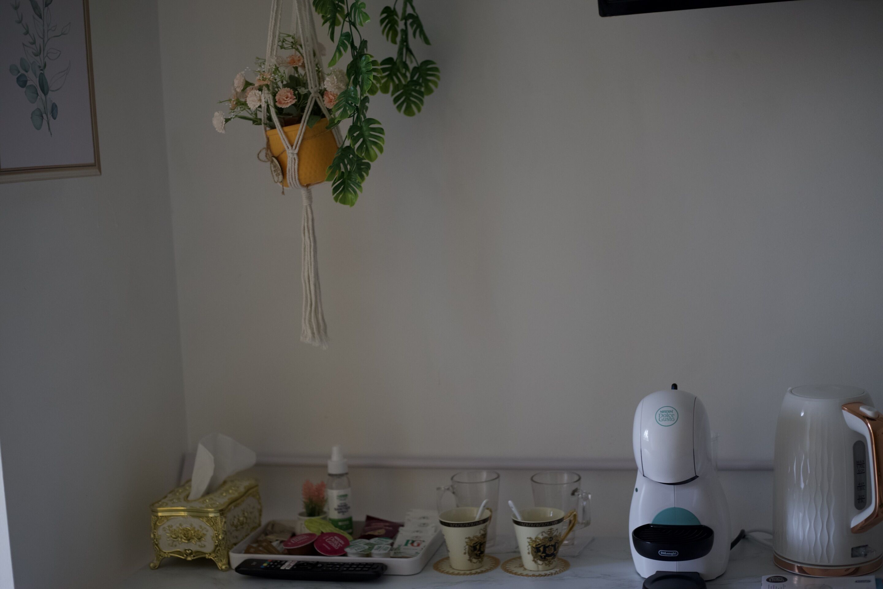 Un plan de travail de cuisine avec une machine à café, une bouilloire, une boîte de mouchoirs et une plante.