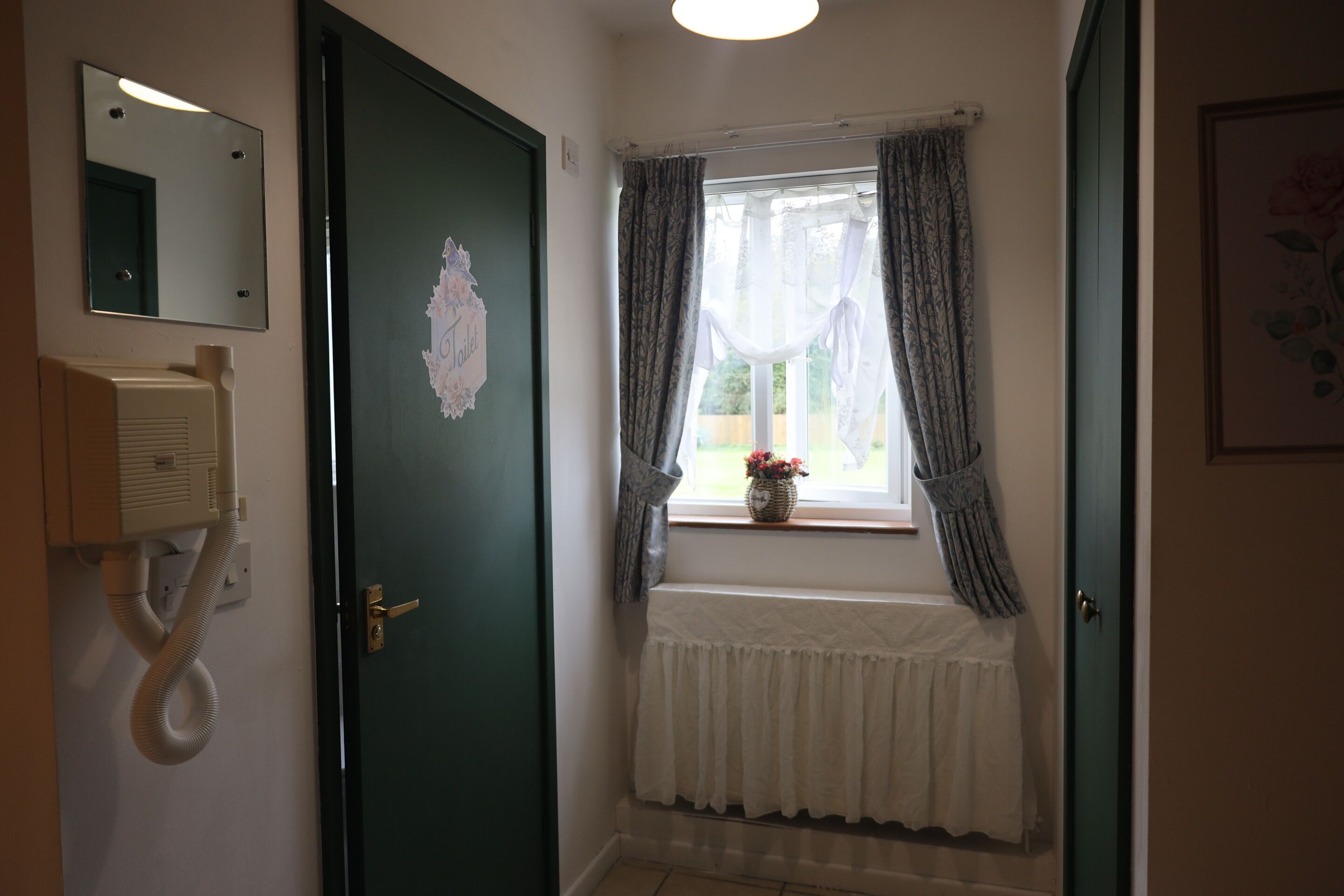 A room with a green door, a window with curtains, a radiator, and a mirror on the wall.