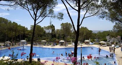 Apartement 4 building parts spread over a pine plot