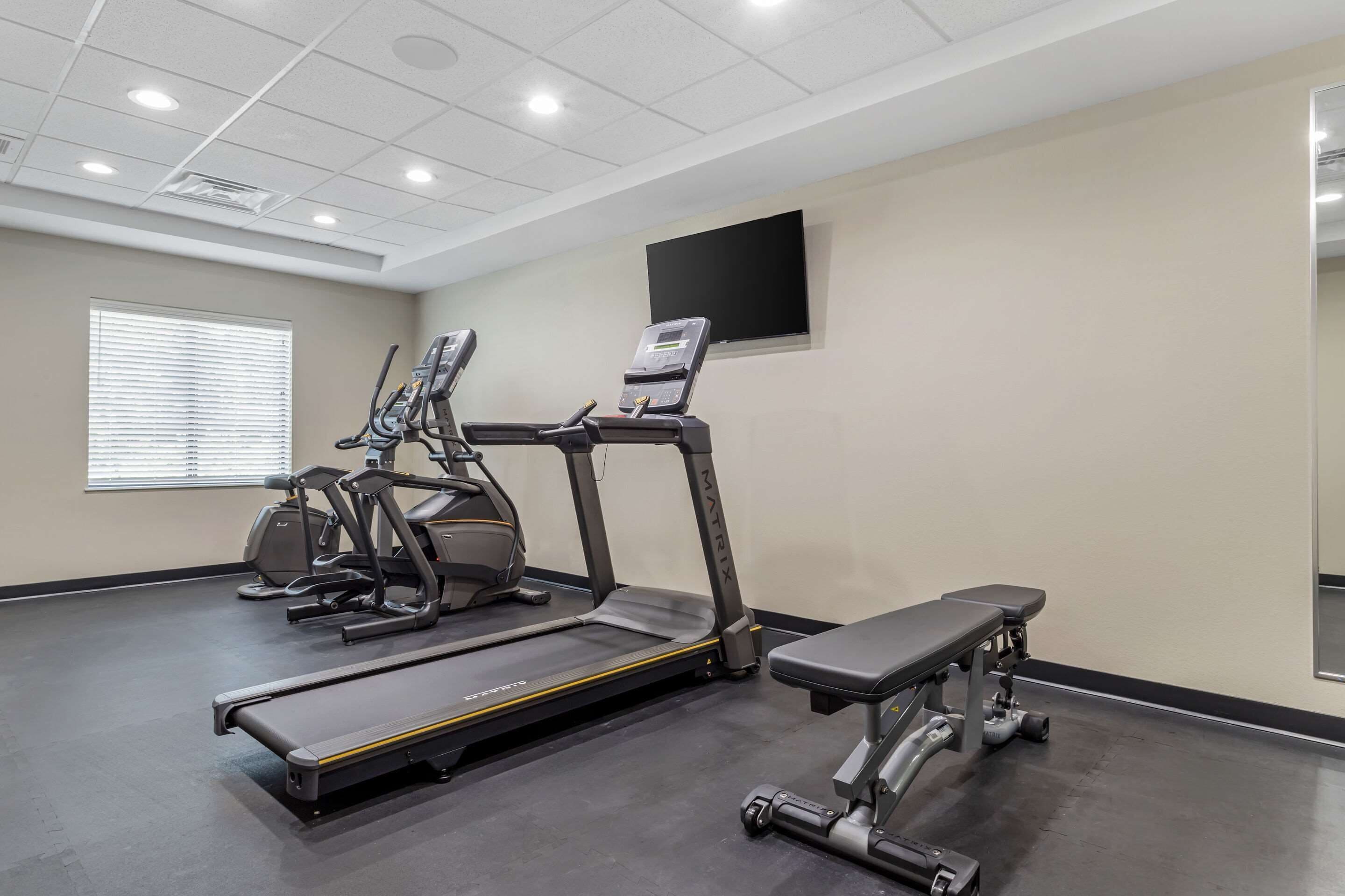 A gym with treadmills, ellipticals, and a bench.