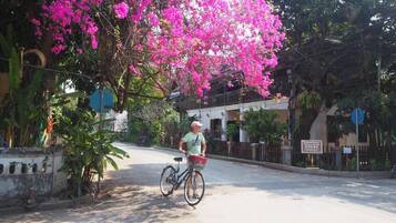 Une personne à vélo circule dans une rue bordée de fleurs roses, avec un bâtiment en arrière-plan.