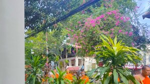 A courtyard with a pathway lined with plants and a metal fence. - Lotus Corner - Heritage B&B (Luang Prabang)