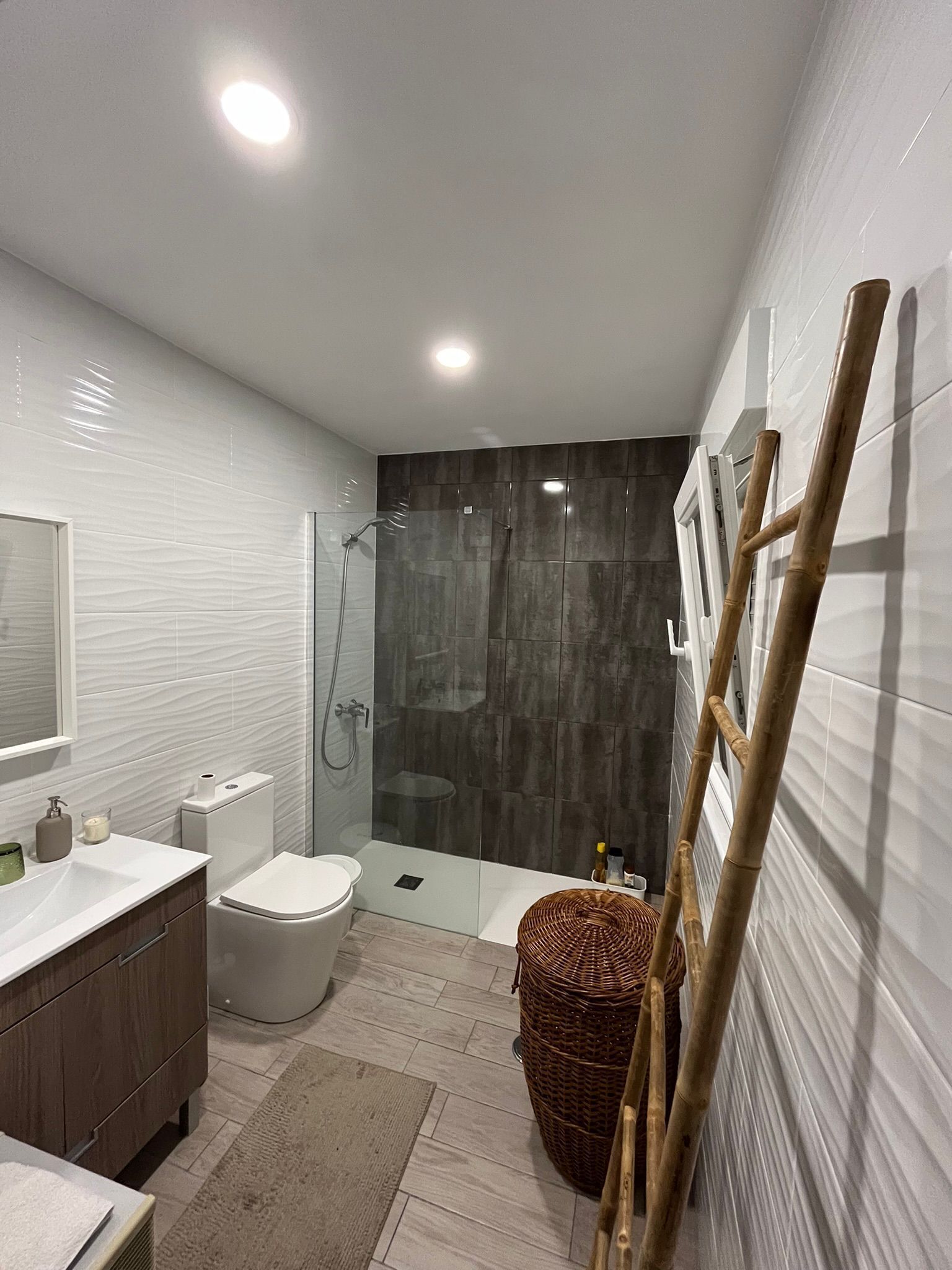Shower, hair dryer, bidet, towels