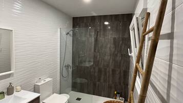 Shower, hair dryer, bidet, towels