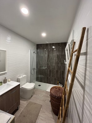 Shower, hair dryer, bidet, towels