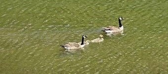 Stardust and Moonlight : Lakefront Condo