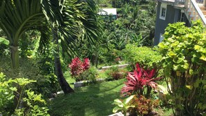 A lush garden with various plants and a pathway. - Serenity 2-bed Apartment in Port Antonio, Portland (Port Antonio)