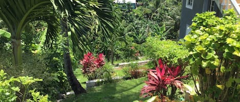 Apartment | Property grounds