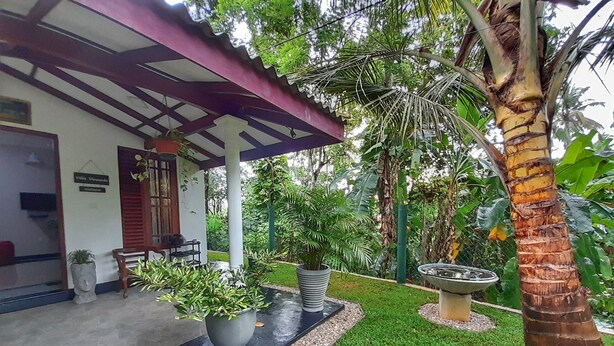 Uma área externa coberta com um caminho de concreto, vasos com plantas e uma palmeira.