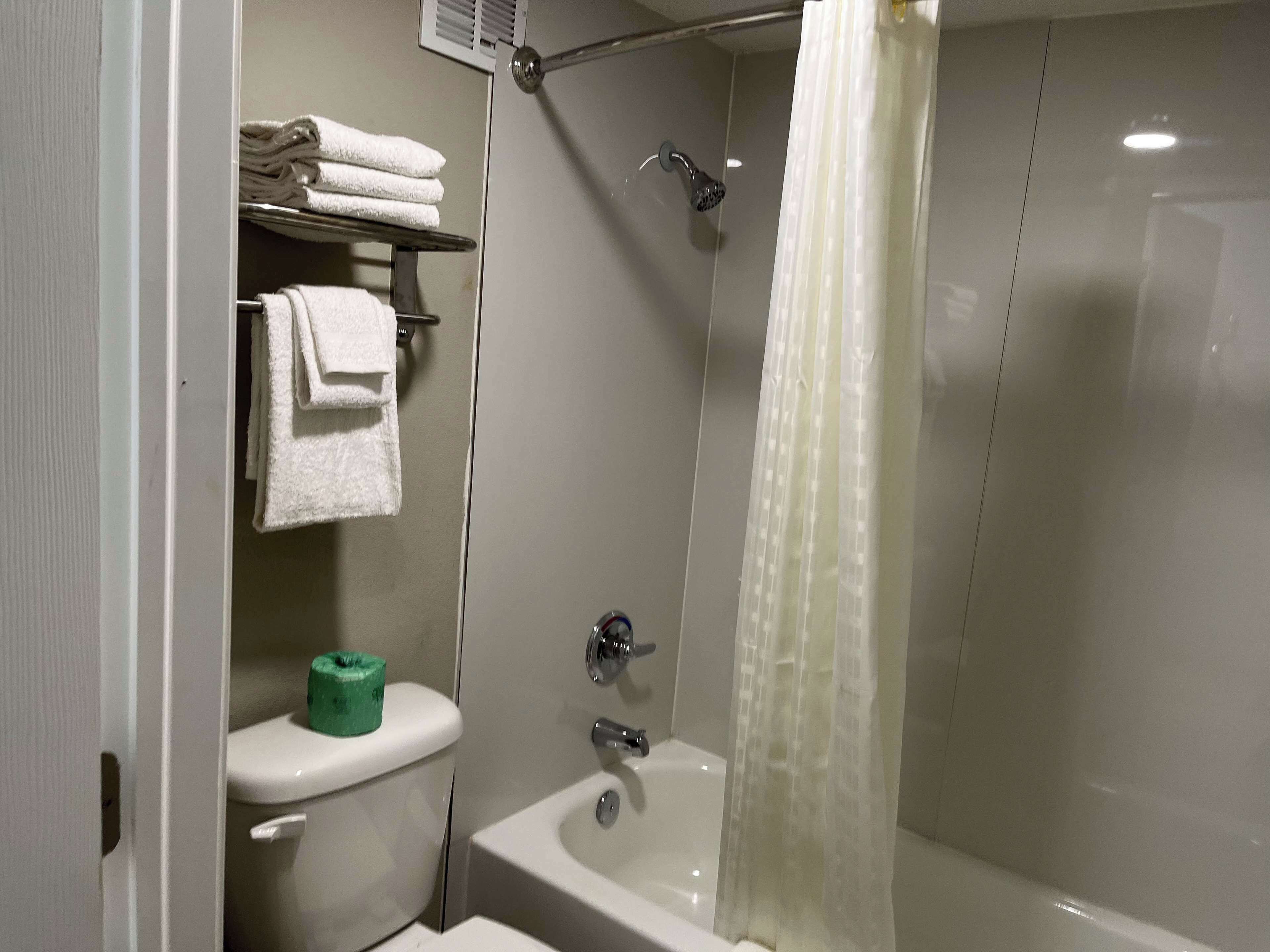 Een badkamer met toilet, wastafel en douche.