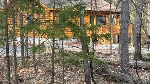 Een vakantiehuis van hout omringd door bomen.
