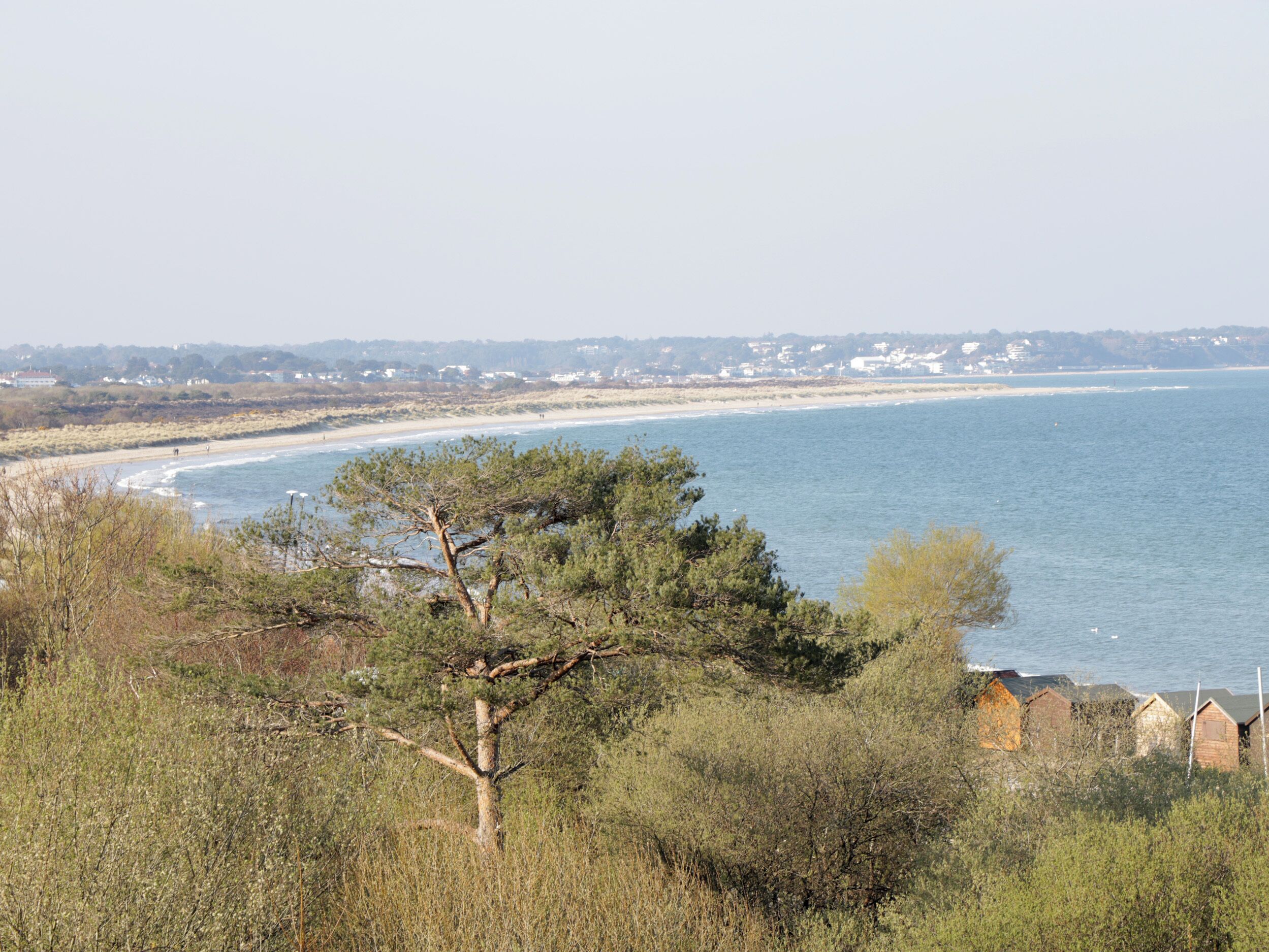 해변