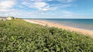 Une plage avec des maisons en arrière-plan, un ciel dégagé et de la végétation au premier plan.