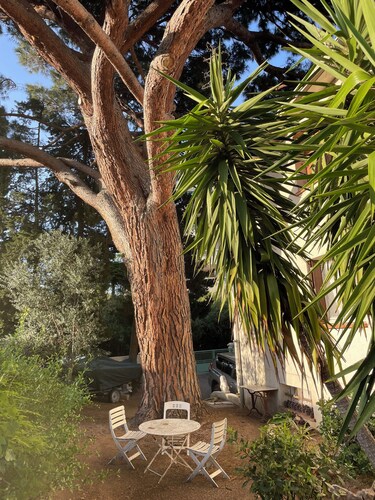 Studette Centre Port Plage à Pied