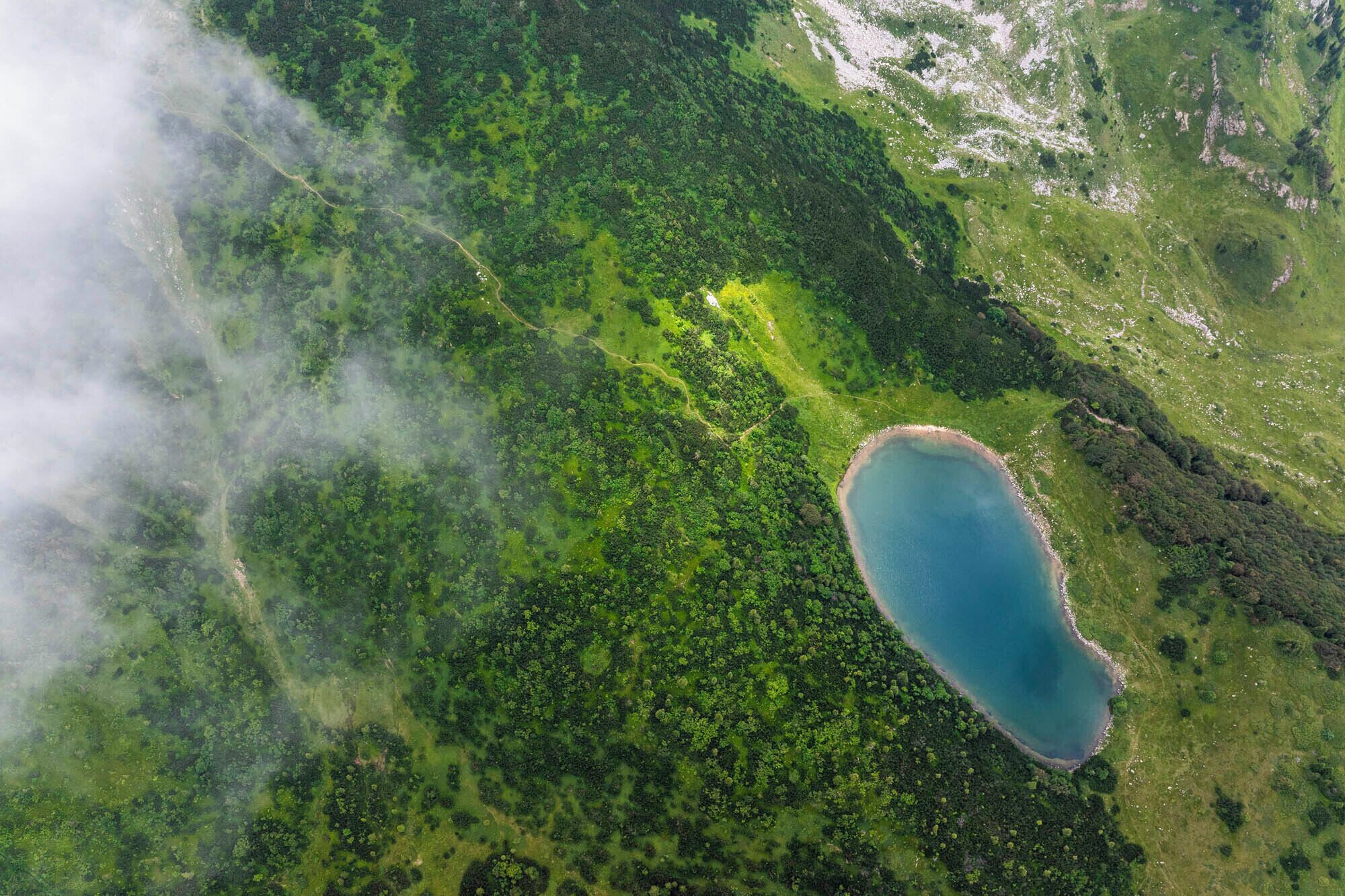 Vista aérea de un lago rodeado de bosque denso.