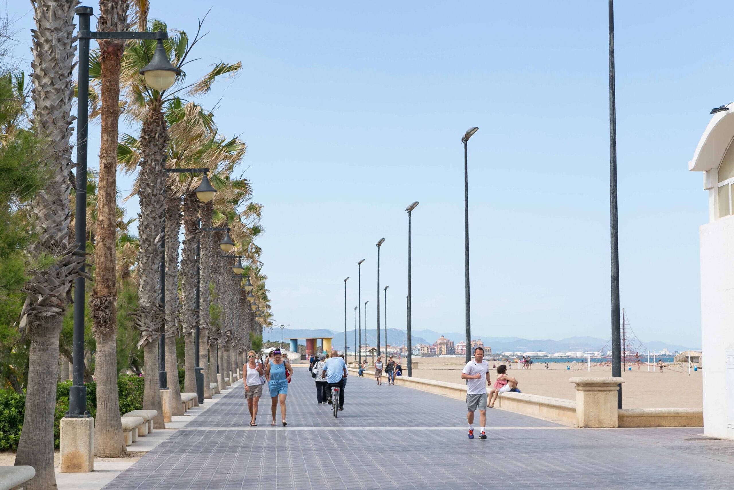 A promenade with palm trees, street lamps, and a beach in the background.