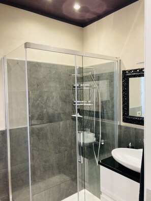 Shower, hair dryer, bidet, towels